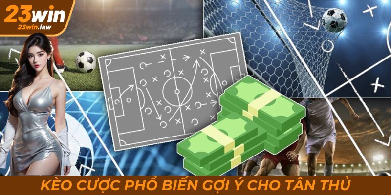 Các kèo cược phổ biến và gợi ý dành cho người chơi mới