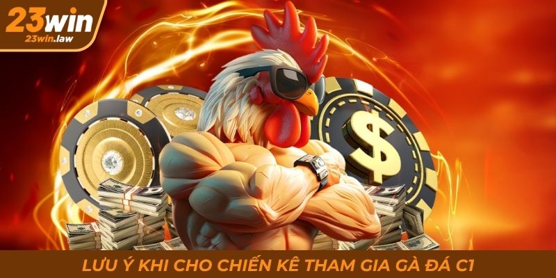 Lưu ý khi cho chiến kê tham gia gà đá C1