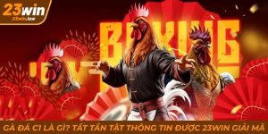 Gà Đá C1 Là Gì? Tất Tần Tật Thông Tin Được 23Win Giải Mã